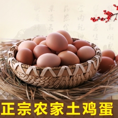 祁东农家土鸡蛋农家散养新鲜30个起邮枚纯天然鸡蛋柴鸡蛋草鸡蛋笨鸡蛋