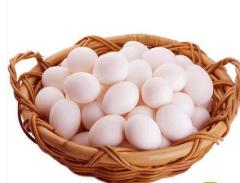 鸽子蛋新鲜杂粮  白鸽蛋农家散养  30个包邮