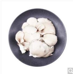 灰平菇 蘑菇 约300g    限湖南祁东地区