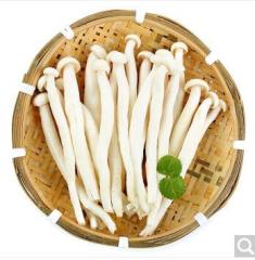 海鲜菇 蘑菇 约250g 自营蔬菜   限湖南祁东地区
