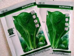 四季快绿   家庭菜园蔬菜种子    包邮