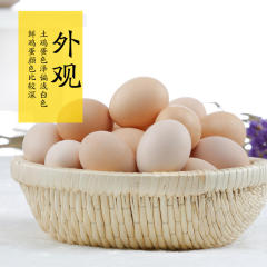 湖南祁东农家散养土鸡蛋新鲜草鸡蛋正宗自养柴鸡蛋30个包邮