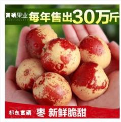 【现货】新鲜冬枣祁东脆甜鲜大枣水果现摘现发 4斤包邮