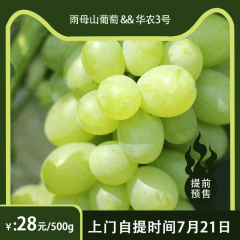 【预售】蒸湘区乡村振兴主打产品-雨母山葡萄&华农3号1斤 华农3号葡萄【500g上门自提】