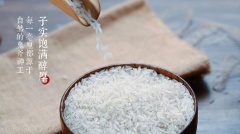 精为天稻香米5KG真空包装长粒香米湖南特色优质大米不抛光不打蜡