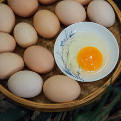 30枚农家散养土鸡蛋湖南衡山老家乡下老母鸡产鲜鸡蛋