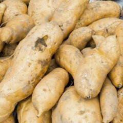 新鲜白薯5斤装 农家自种白皮白心红薯地瓜山芋番薯酥甜