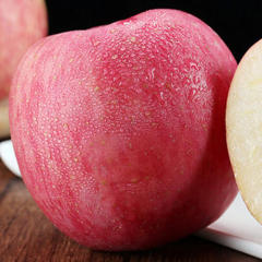 新鲜脆甜烟台红富士栖霞苹果整一箱批发10斤包邮山东特产水果苹果