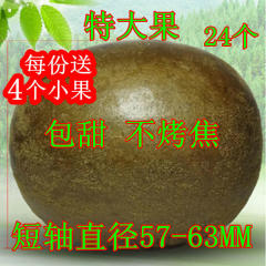 罗汉果特大果24个特级大果罗汉果茶广西桂林特产短径57-63mm 包邮