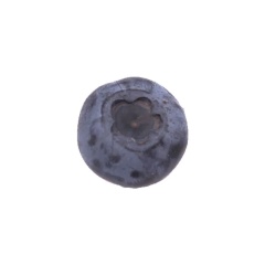 丹东新鲜大甜蓝莓鲜果500g新鲜当季水果孕妇宝宝辅食 2盒精选大果（半斤）