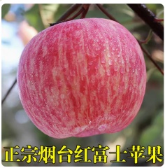 山东烟台苹果栖霞红富士净果10斤当季新鲜水精品大果旗舰店整箱 80mm（含）-85mm(不含) 10斤