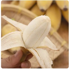 广西小米蕉新鲜香蕉水果酸甜banana芭蕉 1500g