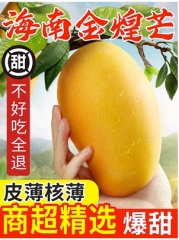 海南金煌芒果新鲜水仙芒当季特大水果热带青芒果现摘整箱包邮（5斤） 推荐：香甜软滑【特级精品】单果550g以