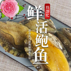 鲍鱼鲜活大个即食小鲍鱼大鲍鱼海鲜水产特大