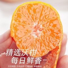 江永富硒沃柑甘甜多汁好吃不上火皮薄多汁新鲜包邮柑橘水果 大果10斤（80-85mm）