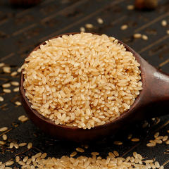 盖亚农场有机糙米1.5kg全胚芽米五谷杂粮粗粮糙米饭健身玄米新米