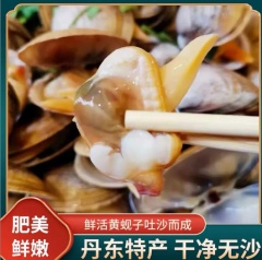 真空即食黄蚬子丹东大黄蚬子蚬子新鲜鲜活蚬子肉新鲜丹东海鲜 一袋