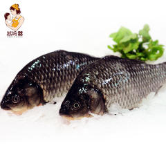 然妈淡水鲫鱼新鲜2斤活体现杀塑封大小鲫鱼鲜活月子炖汤包邮