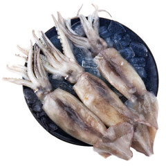 鱿鱼鲜活海鲜水产3斤深海大章鱼烧烤八爪鱼乌贼鱼生鲜大鱿鱼