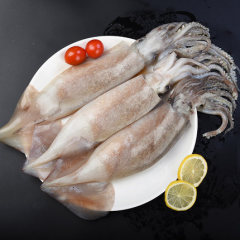 新鲜活大鱿鱼海鲜水产冷冻大章鱼烧烤八爪鱼乌贼鱼火锅铁板