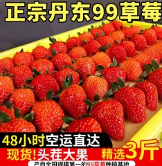 【玖玖农场】丹东99草莓2/3斤新鲜孕妇正宗东港九九红颜 二斤中果