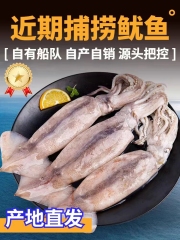 鱿鱼鲜活冷冻新鲜超大鱿鱼尤鱼整只海捕船冻烧烤铁板商用海鲜水产