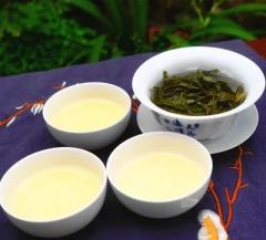 2018明前茶广东大叶青毛尖肇庆封开高山黄茶广东黄茶大叶青黄大茶