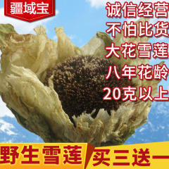 疆域宝新疆天山野生雪莲花3送1海拔4500米以上正宗中药材滋补泡酒
