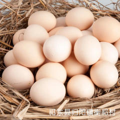 农家自产生态有机土鸡蛋  营养价值高 绿色食品