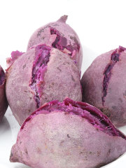 越南小紫薯新鲜现挖5斤小个番薯地瓜红薯沙地农家蜜薯10板栗山芋