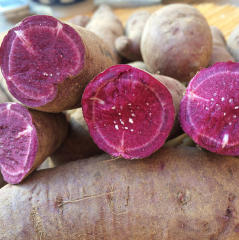 新鲜紫薯 山东沂蒙农家自种红薯 生紫薯 紫地瓜 有机紫薯500g