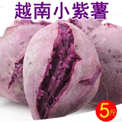越南小紫薯新鲜现挖5斤小个番薯地瓜红薯沙地农家蜜薯10板栗山芋\主图