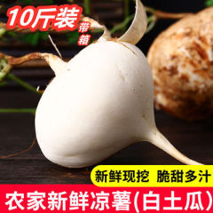 带箱10斤广西凉薯白地瓜新鲜蔬菜沙葛白红薯豆薯土特产地萝卜农家