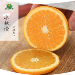 【预售】三星优质冰糖橙2500g包邮 11月下旬上市统一发货