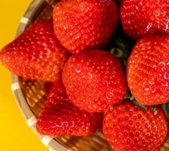 丹东99草莓2/3斤新鲜孕妇正宗东港草莓 2斤中果