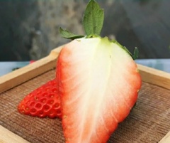 当季奶油新鲜草莓水果现摘现发 一盒