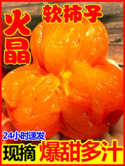 陕西临潼火晶小柿子 新鲜水果软柿子30枚自然熟应季现摘软甜柿子