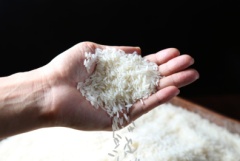 湖南江永香米2.5kg 永明贡米 优质米 长粒米 籼米 真空包装