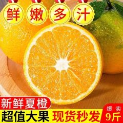 【现摘夏橙】湖南江永夏橙新鲜高山橙子榨汁橙当季水果整箱批发 大果9斤