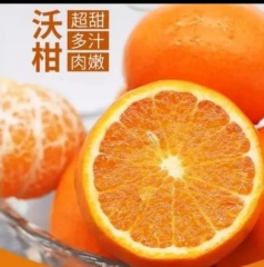 沃柑湖南江永沃柑新鲜当季水果纯甜桔子现摘现发整箱包邮 中果5斤