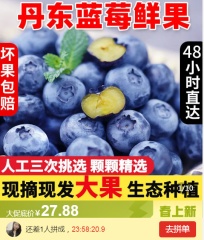 丹东蓝莓鲜果现摘当季新鲜高山宝宝蓝莓辅食孕妇大果包邮蓝莓新鲜 2盒中果半斤