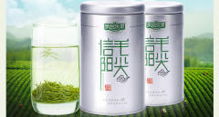 乐品乐茶 新茶毛尖茶叶绿茶自产自销特级嫩芽春茶250g