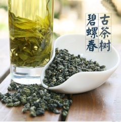 圣木百益 碧螺春茶叶 2016新茶 绿茶 明前散装云南碧螺春250g