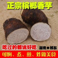 湖南衡阳祁东特产正宗新鲜芋仙农家槟榔香芋头 芋子种子500g