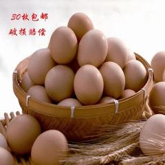 湖南祁东土鸡蛋 散养土鸡蛋 山林散养土鸡蛋30枚