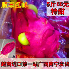 新鲜火龙果越南火龙果水果红心火龙果 5斤 顺丰空运