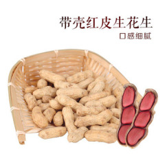红花生500g*1包  红皮花生 带壳生花生 农家自种生花生