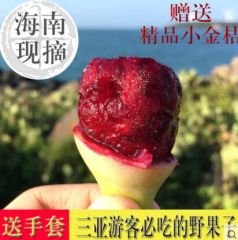 2斤装三亚仙人掌果 海南仙人果仙桃花青素 新鲜水果