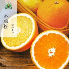 【预售】四星优质冰糖橙2500g包邮 11月下旬上市统一发货