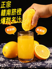 正宗江西赣南脐橙新鲜橙子当季水果10斤包邮